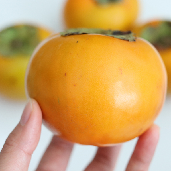 [오커최고] 국내산 부유 단감 1kg 2kg
