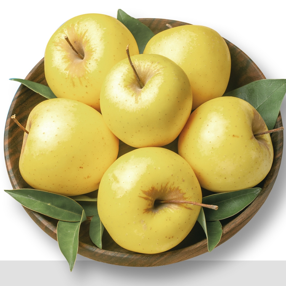 [정품] 12브릭스 당도선별 경북 황금 시나노골드 사과 3kg,4kg,5kg(개당 165-380g)