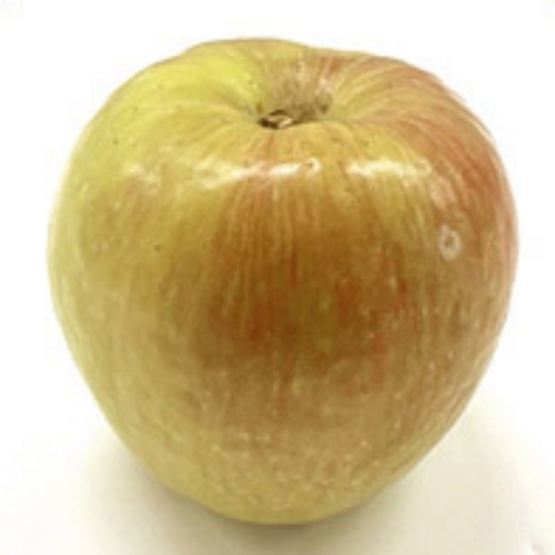 [알뜰] 12브릭스 당도선별 경북 황금 시나노골드 사과3kg,4kg,5kg(개당 165-380g) 못난이 알뜰 보조개