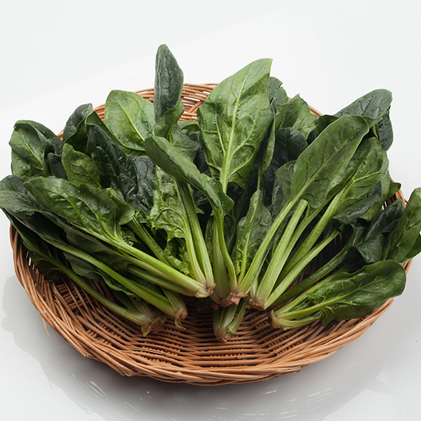 [오커최고] 국내산 시금치 파릇파릇 시금치 500g 1kg 2kg