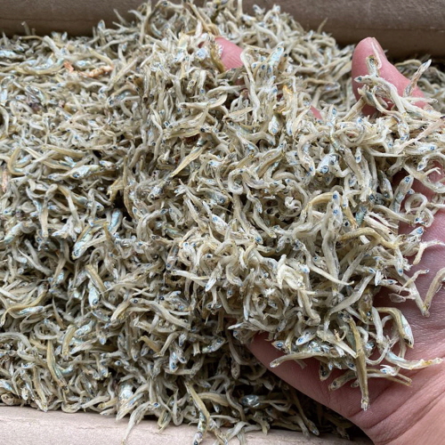 볶음용 햇 지리멸치(실속형) 500g