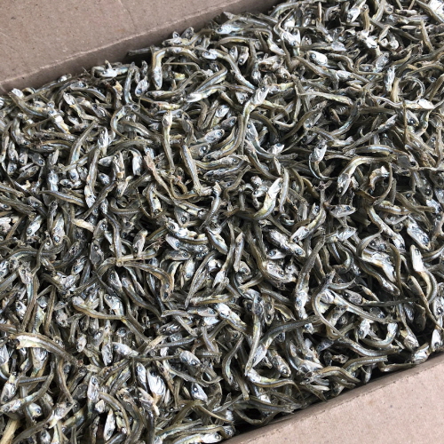 볶음용 햇 가이리멸치(실속형) 500g