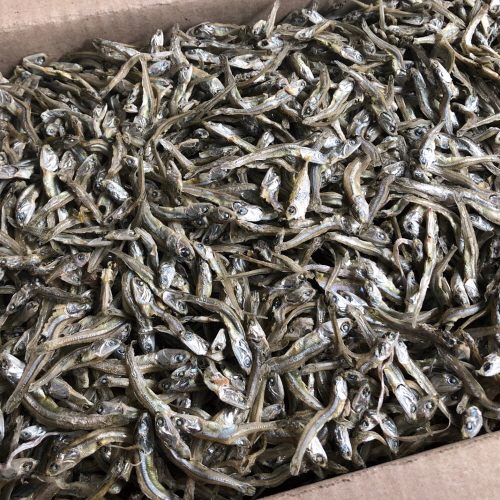 볶음용 햇 가이리멸치(실속형) 500g