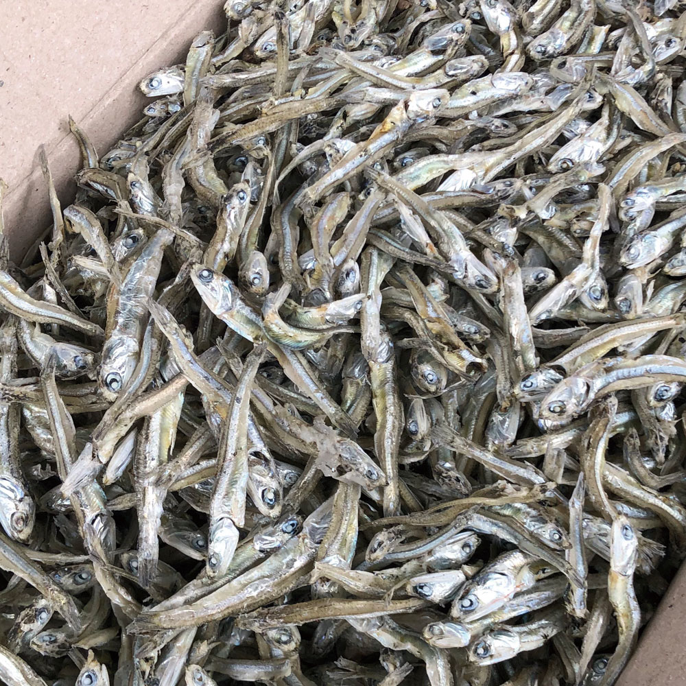 안주/조림용 햇 고바멸치(가정용) 500g