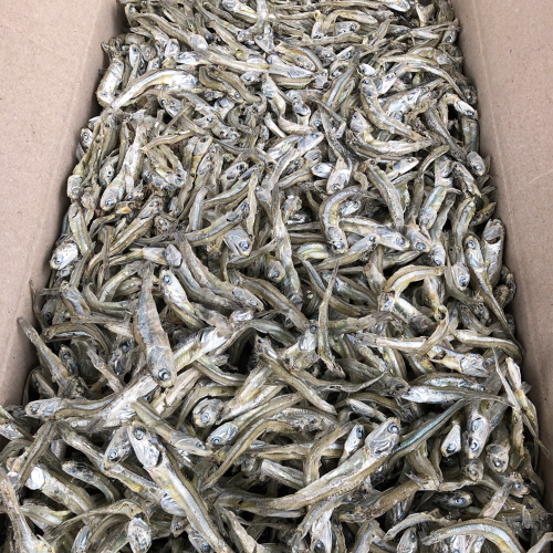 안주/조림용 햇 고바멸치(가정용) 500g