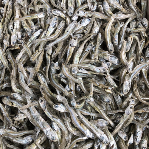 안주/조림용 햇 고바멸치(가정용) 500g