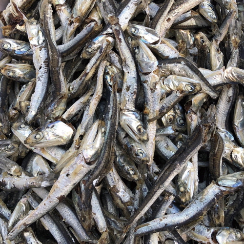 국물용 햇 다시멸치(가정용) 500g