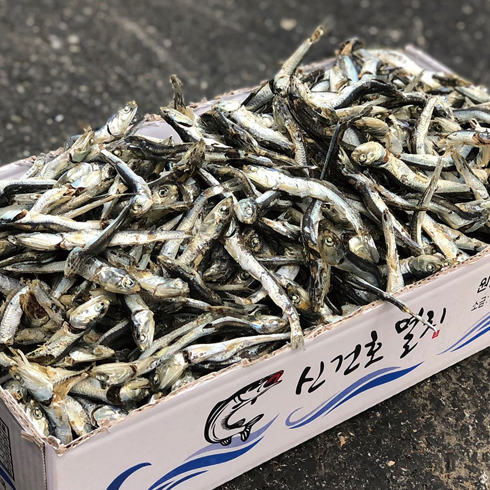 국물용 햇 다시멸치(가정용) 500g 대표이미지 섬네일