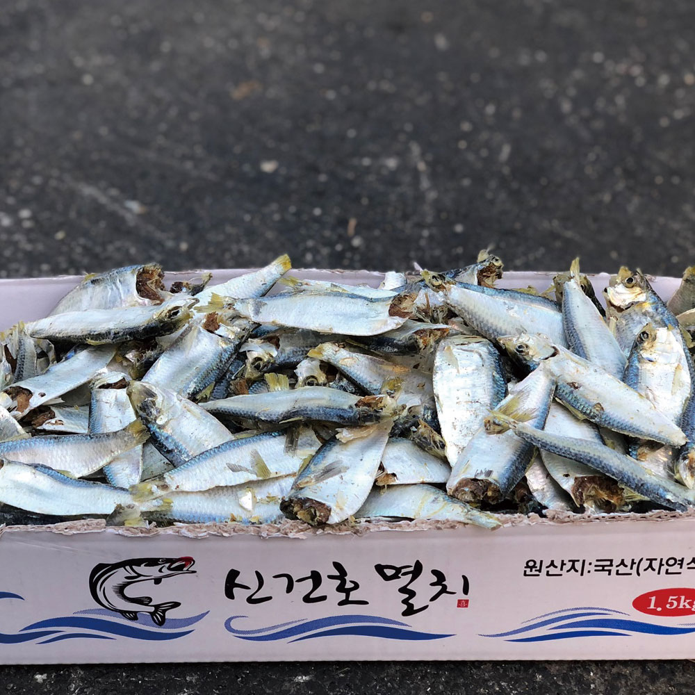 육수용 국산 햇 디포리(실속형) 500g