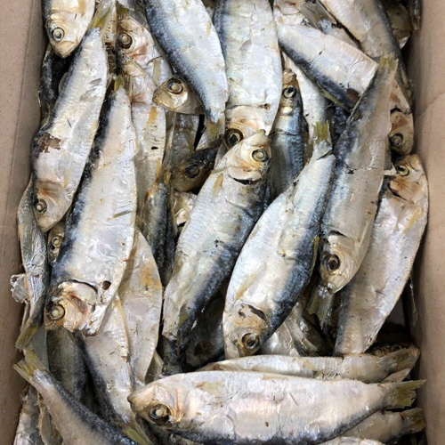육수용 국산 햇 디포리(실속형) 500g