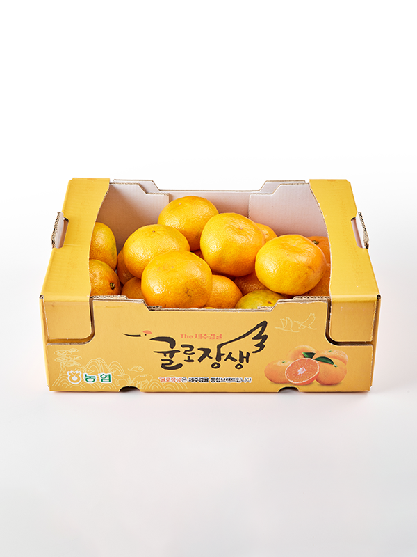 GAP 제주감귤 로얄과 2.5kg