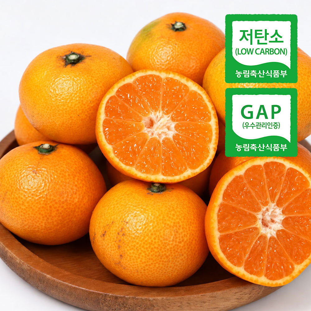 제주 고당도 저탄소 GAP 하우스 밀감