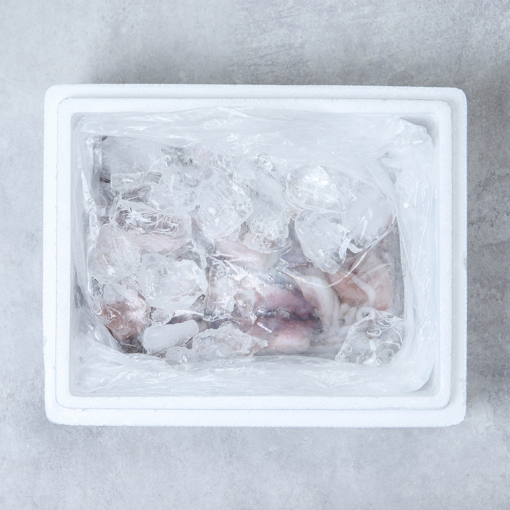 손질 미니 갑오징어 500g 1kg