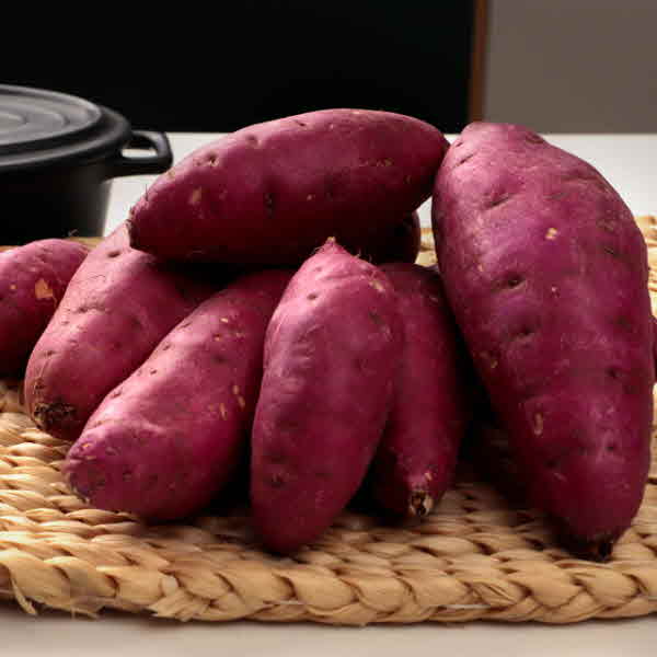 숙성시켜 더 달달한 세척된 꿀밤고구마 3kg(중하)