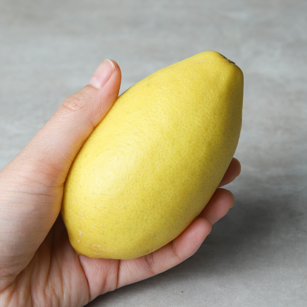 국산 아쌈레몬 1kg