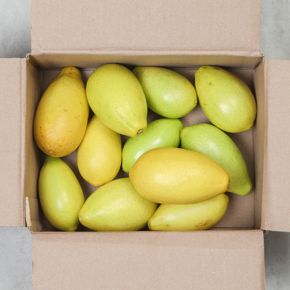 국산 아쌈레몬 1kg