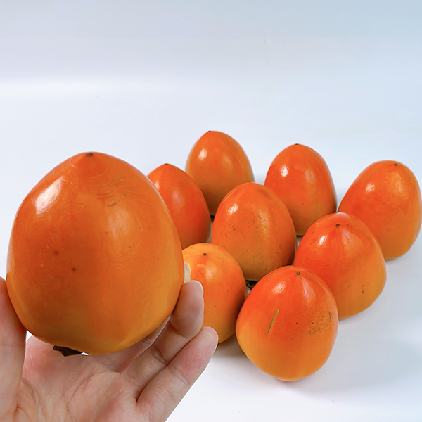 [오커최고] 국내산 대봉감 가을 감 2kg 3kg