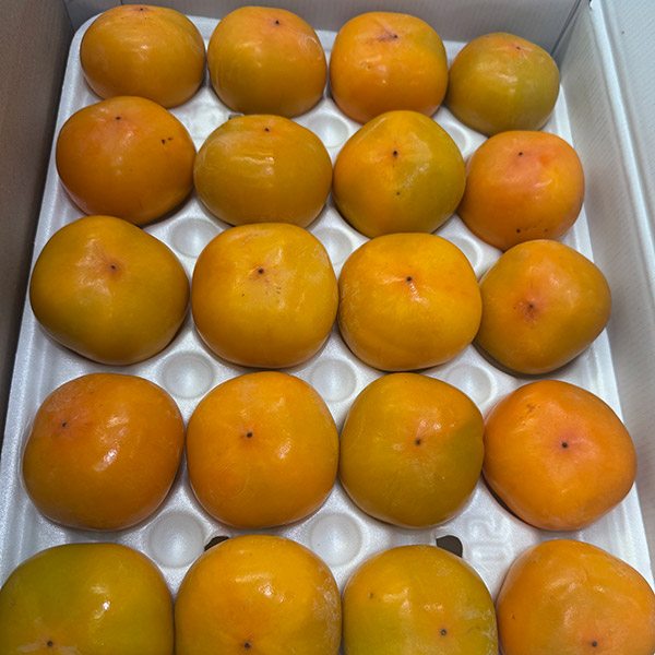 애플랩 청도 반시 2.5kg