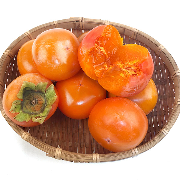애플랩 청도 반시 5kg
