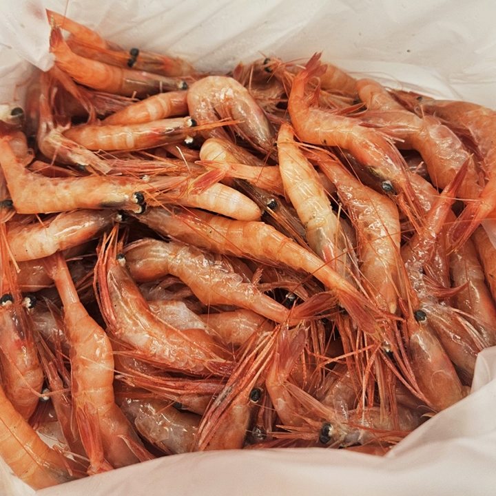 횟감용 급냉 홍새우 500g 30-40미 국내산 동해 새우 구이 찜 탕 대표이미지 섬네일