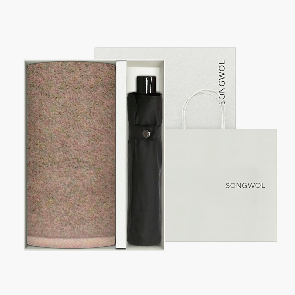 송월 타올우산선물세트(170g1+SW 3단 컬러무지1)+쇼핑백