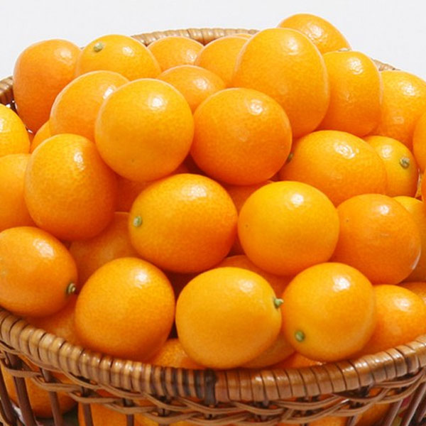 [두레] 금귤(낑깡) 2kg(2번과)