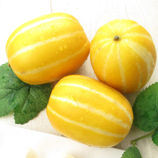 수야네농장 정품 성주참외 2kg /옵션선택/