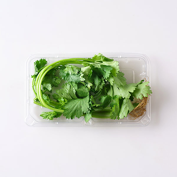 국내산 고수 (10g,1팩)