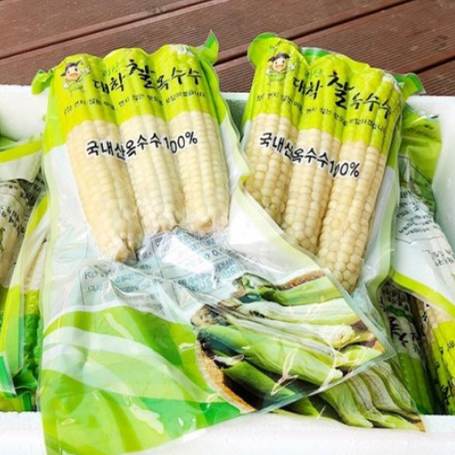 진공찰옥수수 21개/31개