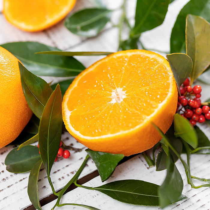 제주 천혜향 1.5kg/2.5kg/4.5kg 대표이미지 섬네일