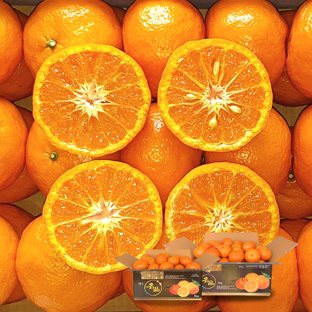 [제주열매] 고당도 진지향/카라향(3kg/5kg)