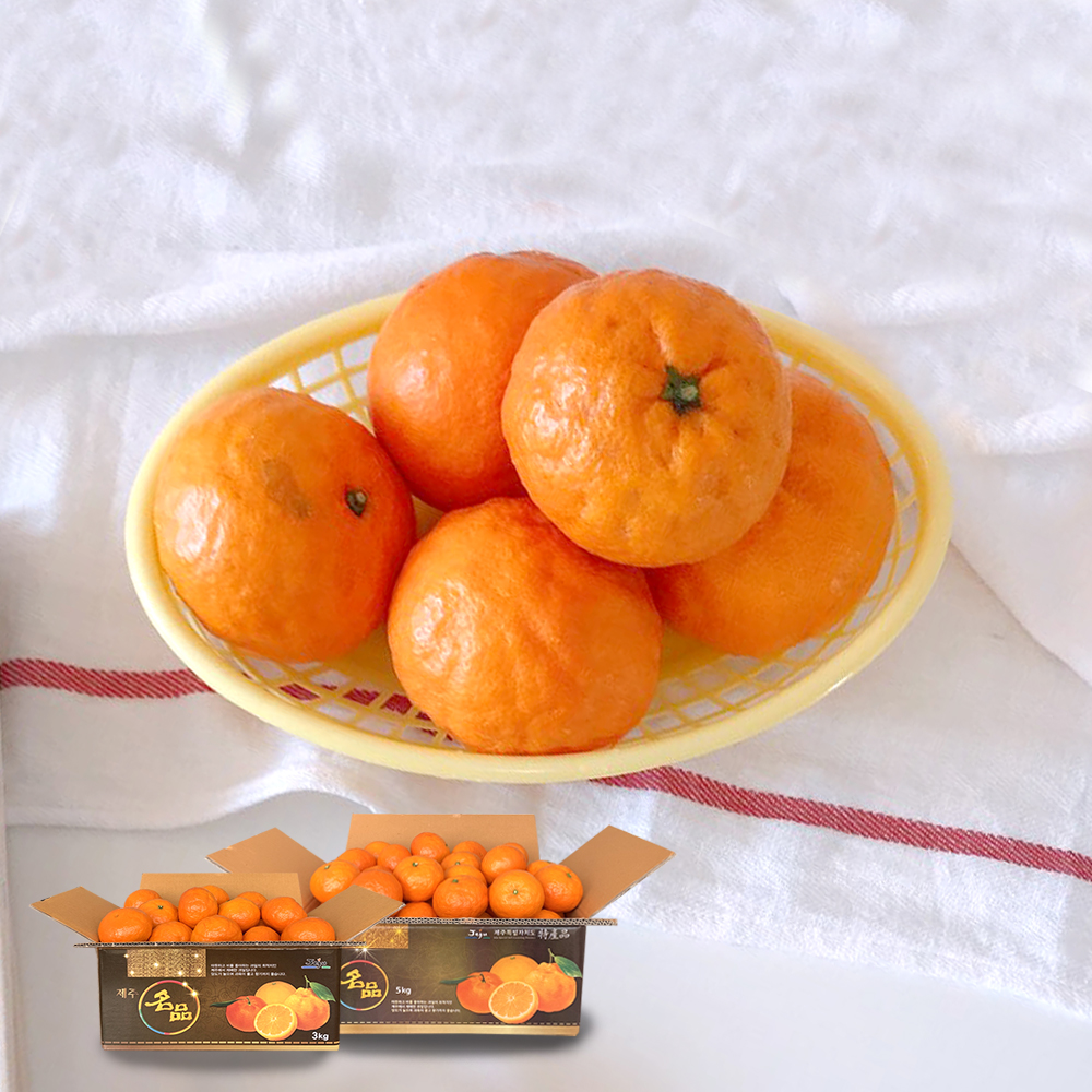 [제주열매] 고당도 진지향/카라향(3kg/5kg)