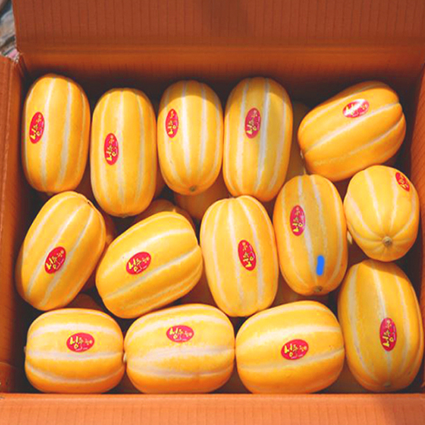 싱싱하고 달콤한 해란팜 성주참외 3kg , 5kg