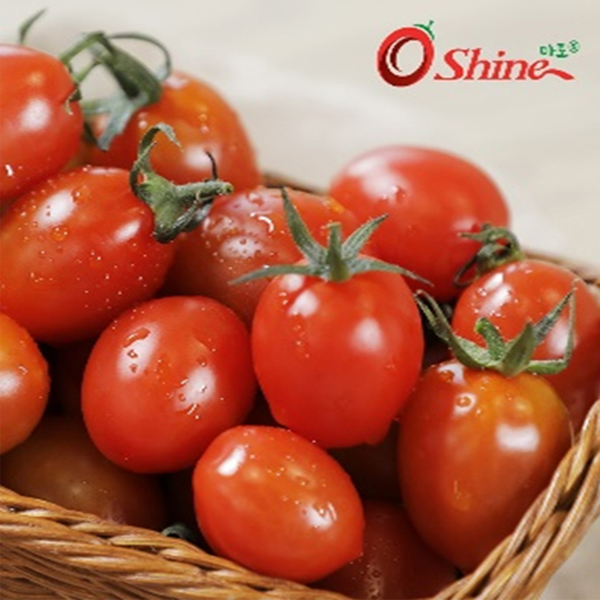 아삭달콤한 매력! 스테비아토마토 샤인방울마토 1kg / 2kg