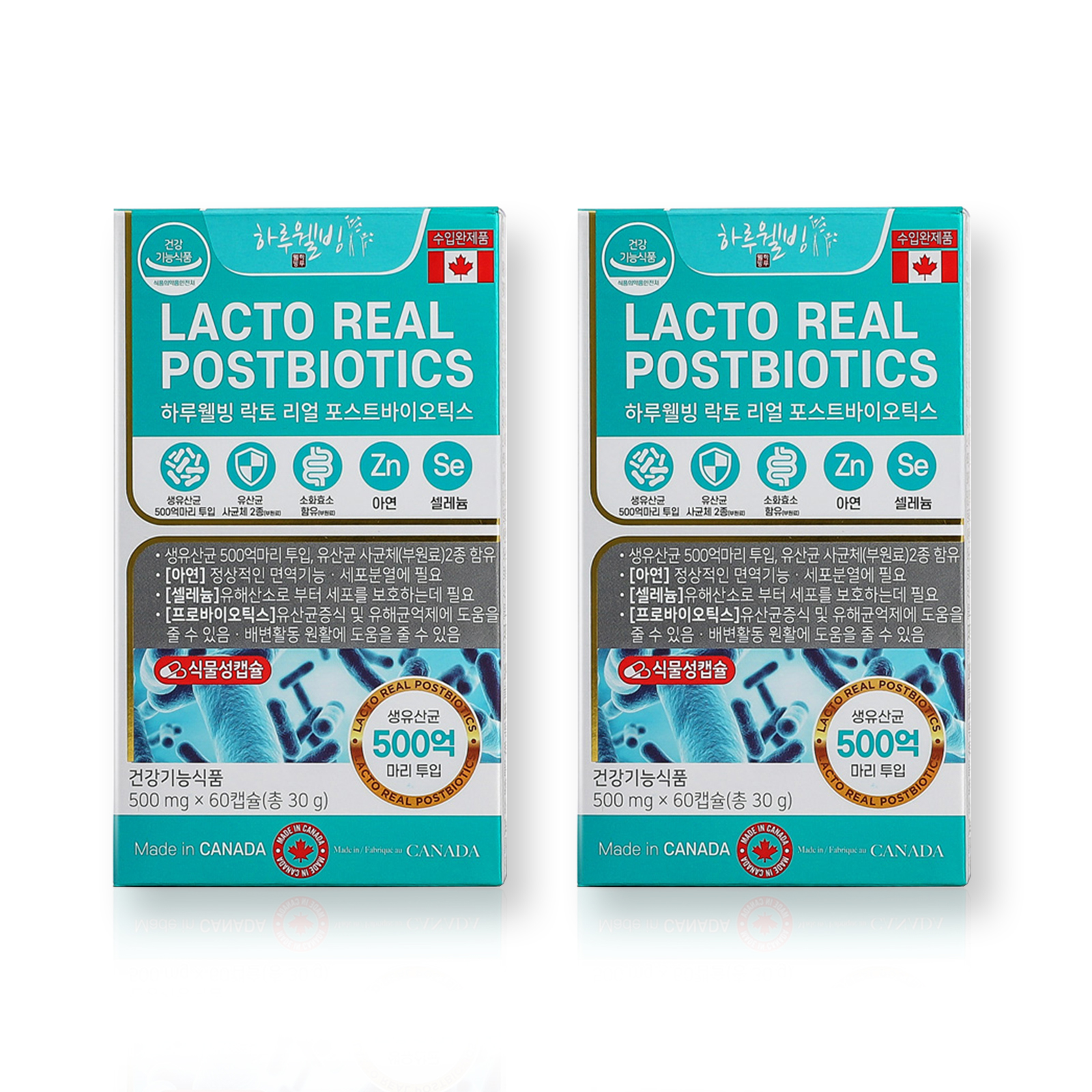 [하루웰빙] 500억 유산균 락토리얼 포스트바이오틱스 500mg x 60캡슐