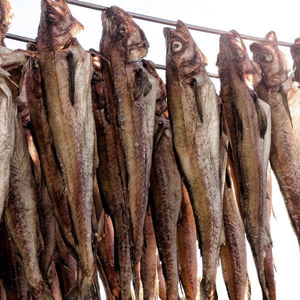 [HACCP] 절단 코다리 명태 동태 350g