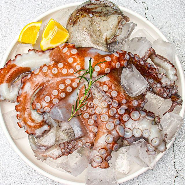 통영 자연산 돌문어 1kg
