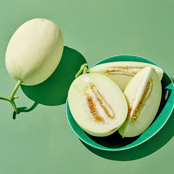 [시즌종료]국내산 백설멜론 1통(1.5kg 내외)