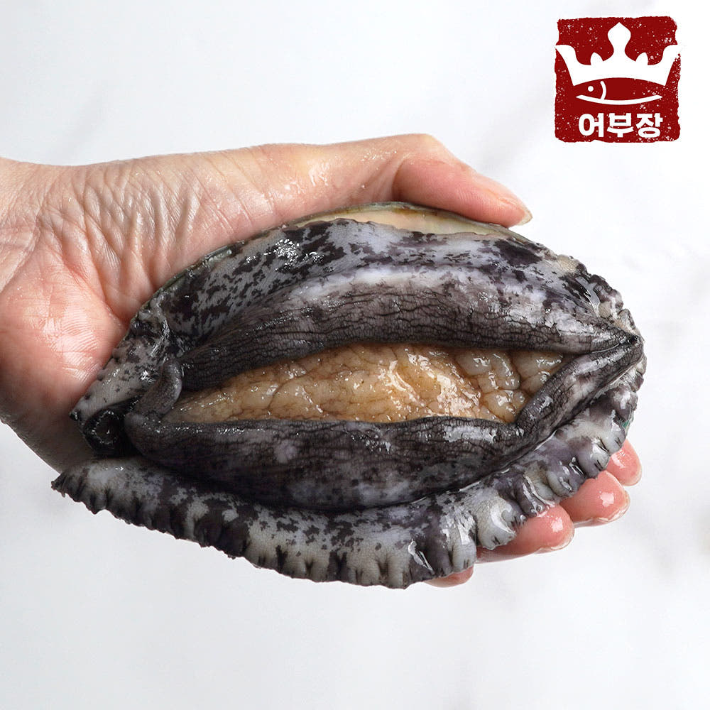 완도사랑 완도산 활전복 7미부터 1kg 대표이미지 섬네일