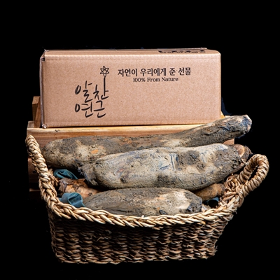 무농약 연근 400g/1kg