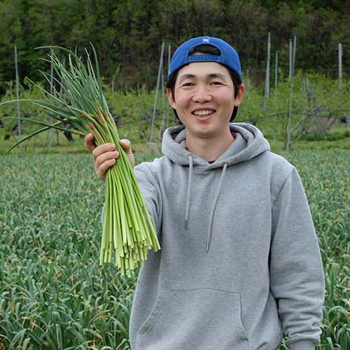 [빅토리팜] 의성 보들보들 햇마늘쫑 500g/2kg/5kg