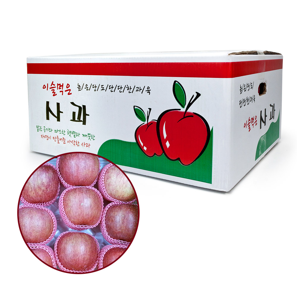 고랭지 유명산지 정품사과 4.5kg (15~16과)