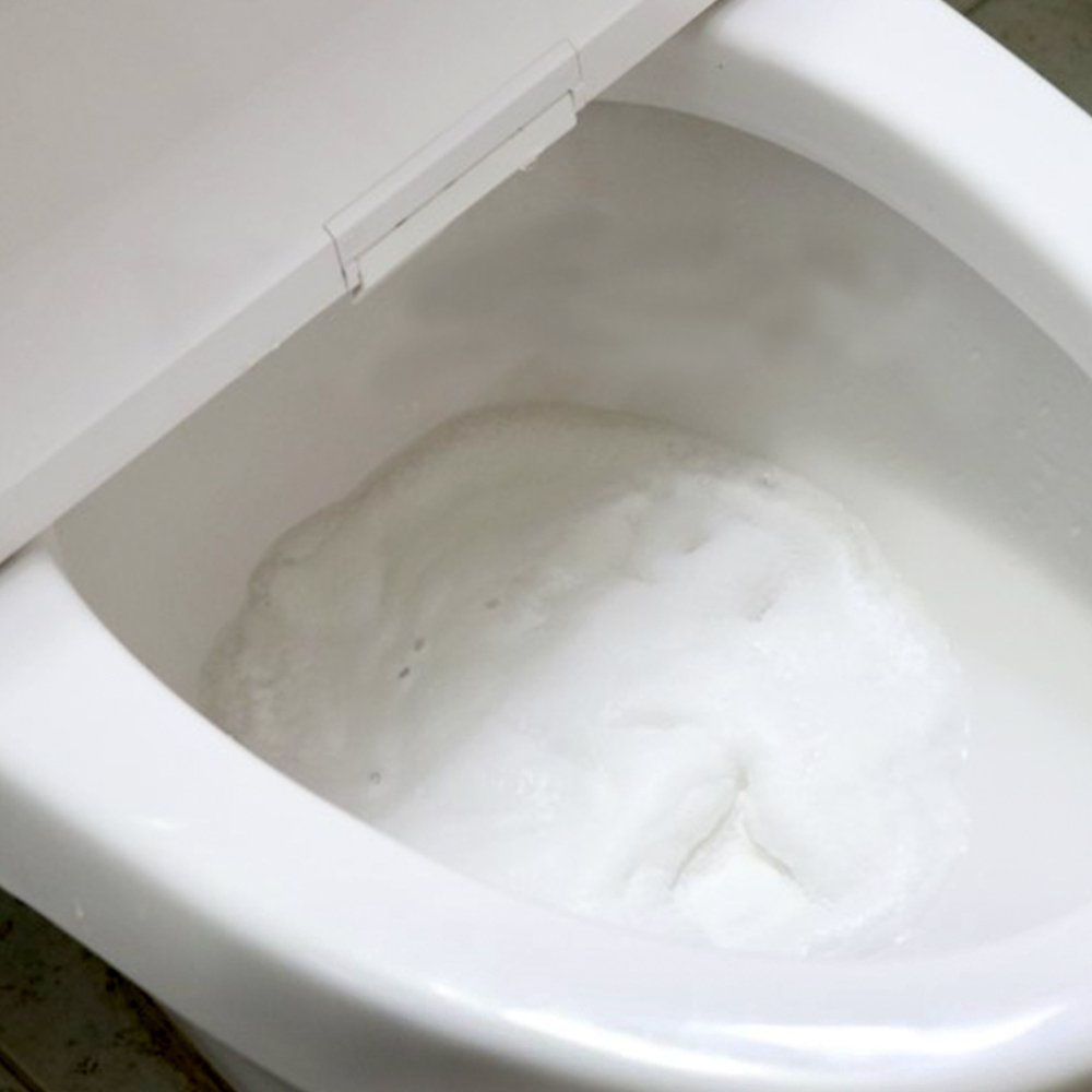 욕실의여왕 대용량 변기클리너 50g*4매입