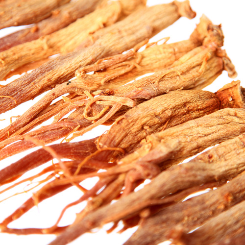 강장현 유기농 키즈홍삼 키니지니 면역력향상 어린이홍삼