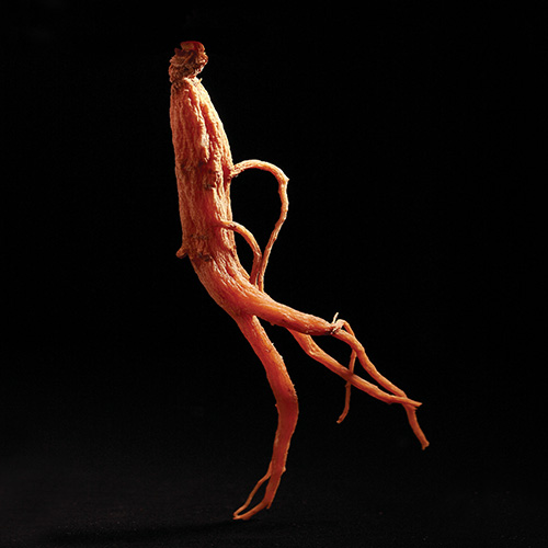 강장현 유기농 키즈홍삼 키니지니 면역력향상 어린이홍삼