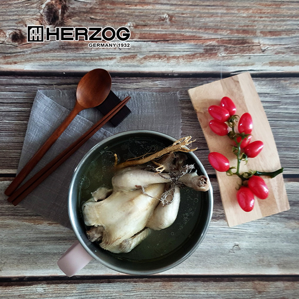 독일 헤르조그(HERZOG) 네띠 전기 멀티포트 1.2L
