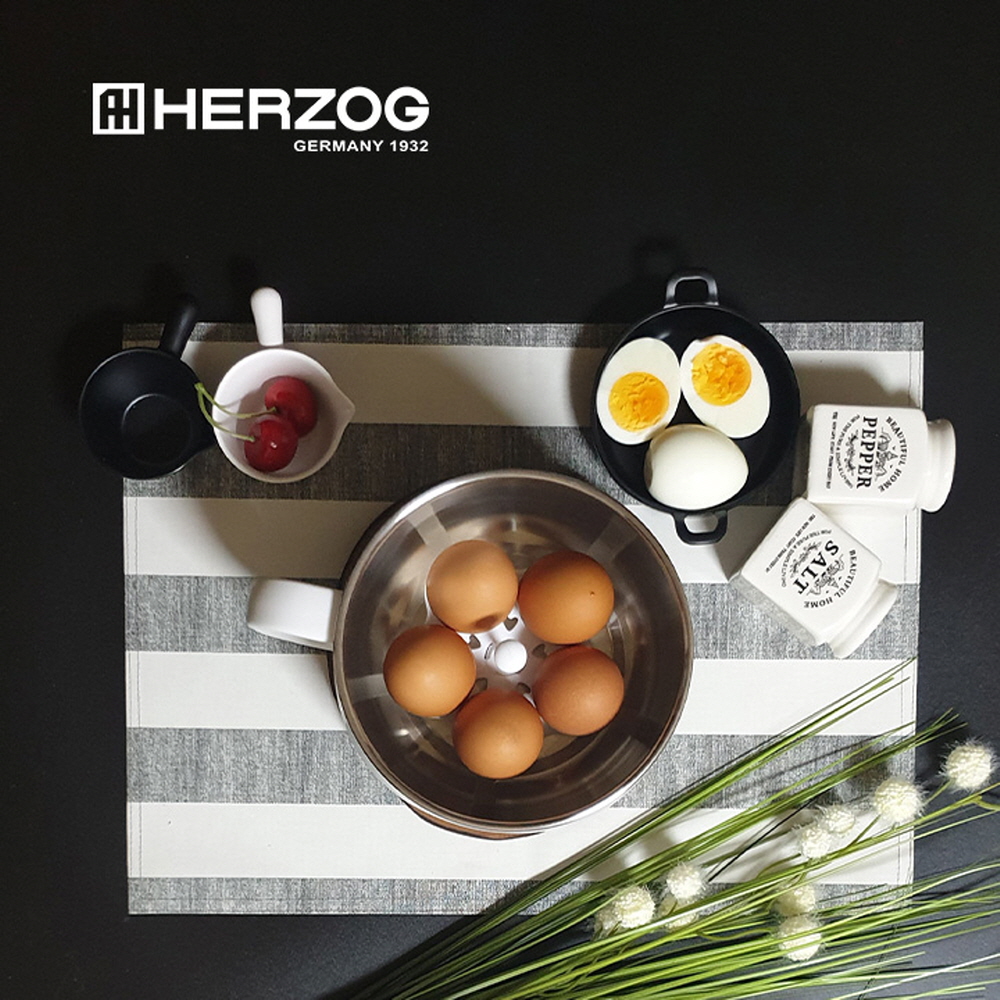 독일 헤르조그(HERZOG) 네띠 전기 멀티포트 1.2L