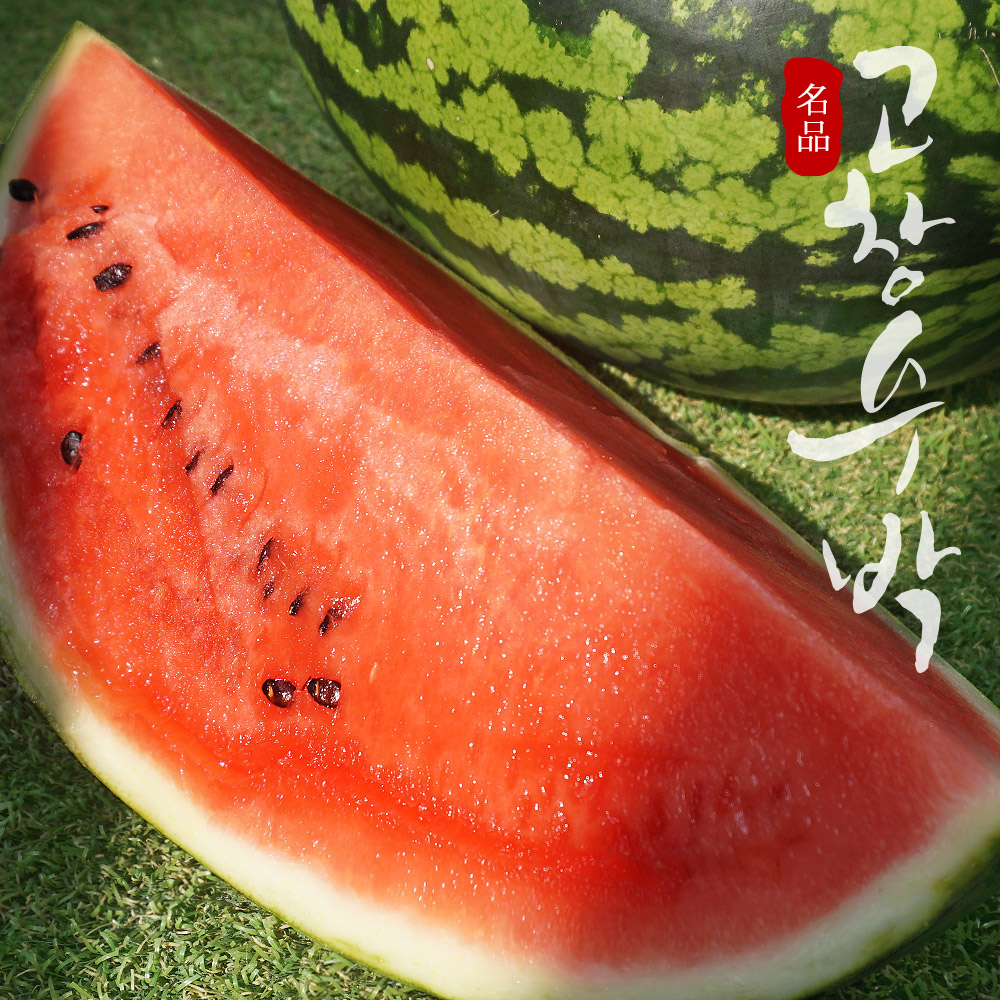 [고창특산물] 명품 고창 수박 (선물용) 