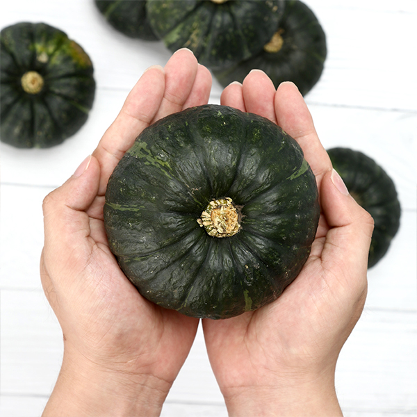 포슬포슬한 미니 밤단호박 3/5kg(제주산 보우짱/실중량)