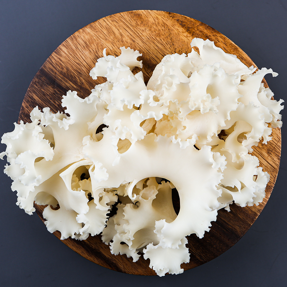 꽃송이버섯 1kg 친환경/무농약 생꽃송이버섯 베타글루칸 43.6%